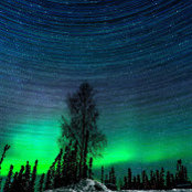 Jessica D'Amico's photo