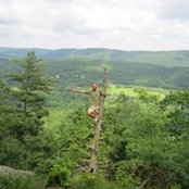 Ilan Benmoche's photo