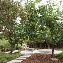 jardín