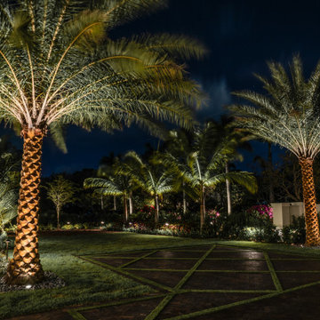 Outdoor Living, Fire Feature & Oak Canopy — Naples