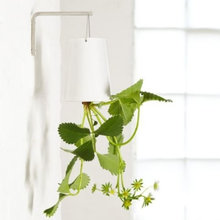 Home & Decor