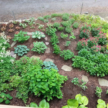 Duneside Shade Garden