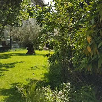 Vue sur la terrasse haute du jardin depuis le cabanon