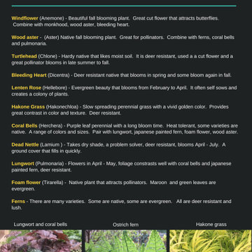 Landscaping tips and resources
