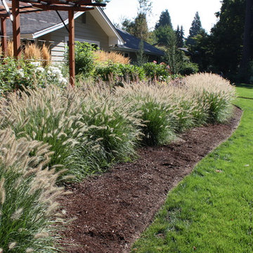 Grasses and Movement