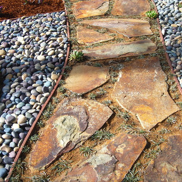 A Water Wise Landscape
