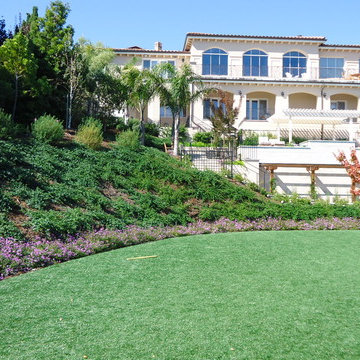 Tiburon Hillside Family Estate