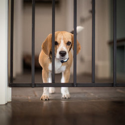 HIDEAGATE Close Up in Double Oak House - Baby Gates And Child Safety