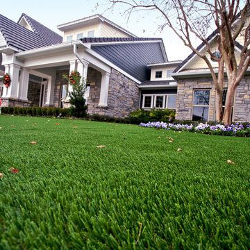SYNLawn | Close-up Shots