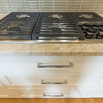Lakeview Luxury Kitchen Renovation