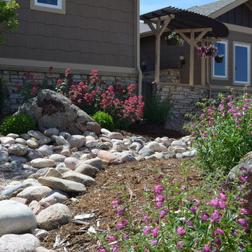 Hillside Landscape in Fort Collins, Colorado