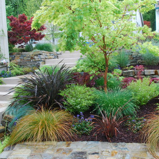 Kleines, Halbschattiges Eklektisches Garten im Innenhof im Frühling mit Gartenmauer und Dielen in San Francisco