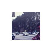 Colin Mclaughlin's photo