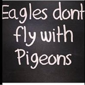 Kimberly Perry's photo