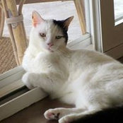 Emily Claspell's photo