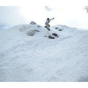 Brian Cole's photo
