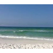 Courtney Loyd-Riegel's photo