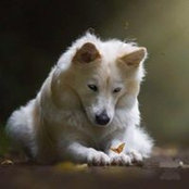 Mary Pritchard's photo