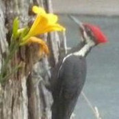 Nelda Brangwin's photo