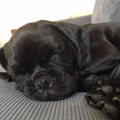 Mandy Gardiner's photo