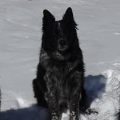 Foto von Elizabeth Schmidt