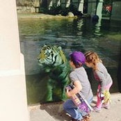 Doug Sloane's photo
