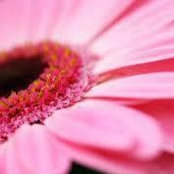 Susan Silberisen's photo