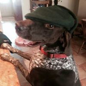 Foto di Michael Murphy