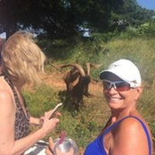 Kathy Davis's photo