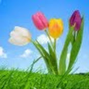 Becky Small's photo