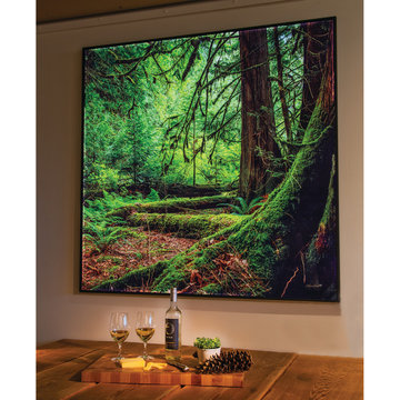 Backlit Photolucents®: "Deep in a Forest"