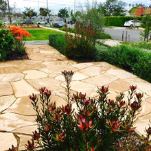 Front Landscape