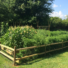 Garden 2014