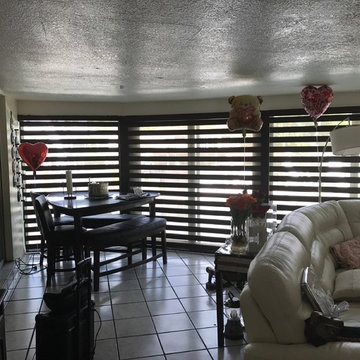 Zebra Illusion Blinds - Pompano Beach, Florida