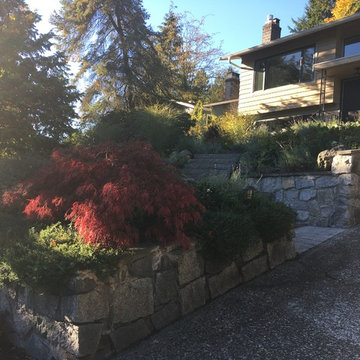 Port Moody Steep Slope