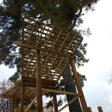 Dunn Treehouse