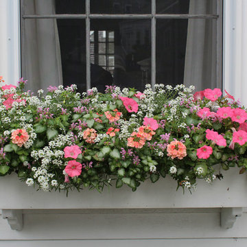 Window Boxes / Containers
