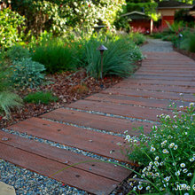 Neumann Landscape Part II