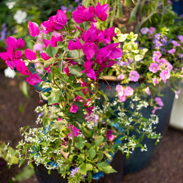 Summer Planters