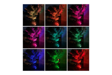 Color Changing Lights