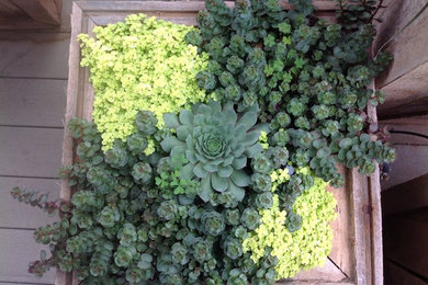 Patio pots