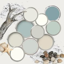 Color Palette