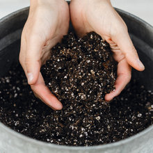 Cómo tener un jardín libre de plásticos y más sostenible