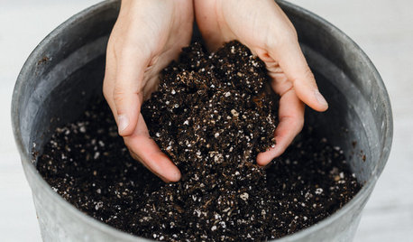 Nutritional Guide: 5 Must-Have Super Foods for Healthy Plants