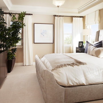 Hopewell model home in Colorado
