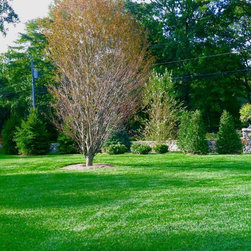 Landscapes - Products