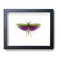 Wall Art - Products