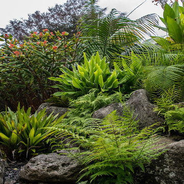 Hawaiian Landscape
