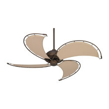 ceiling fans