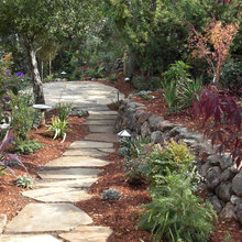 Bird Sanctuary